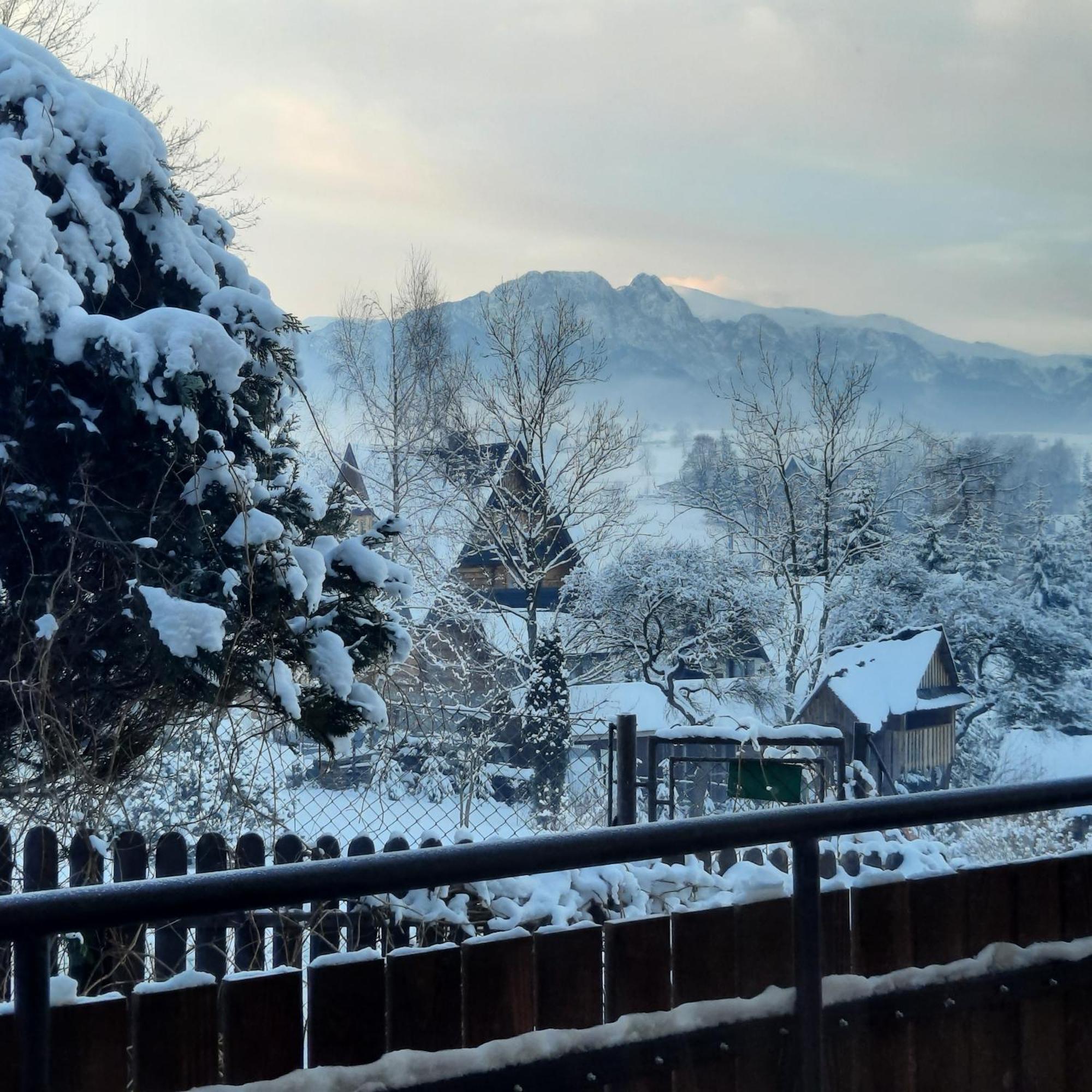 Willa U Bzyka Zakopane Dış mekan fotoğraf