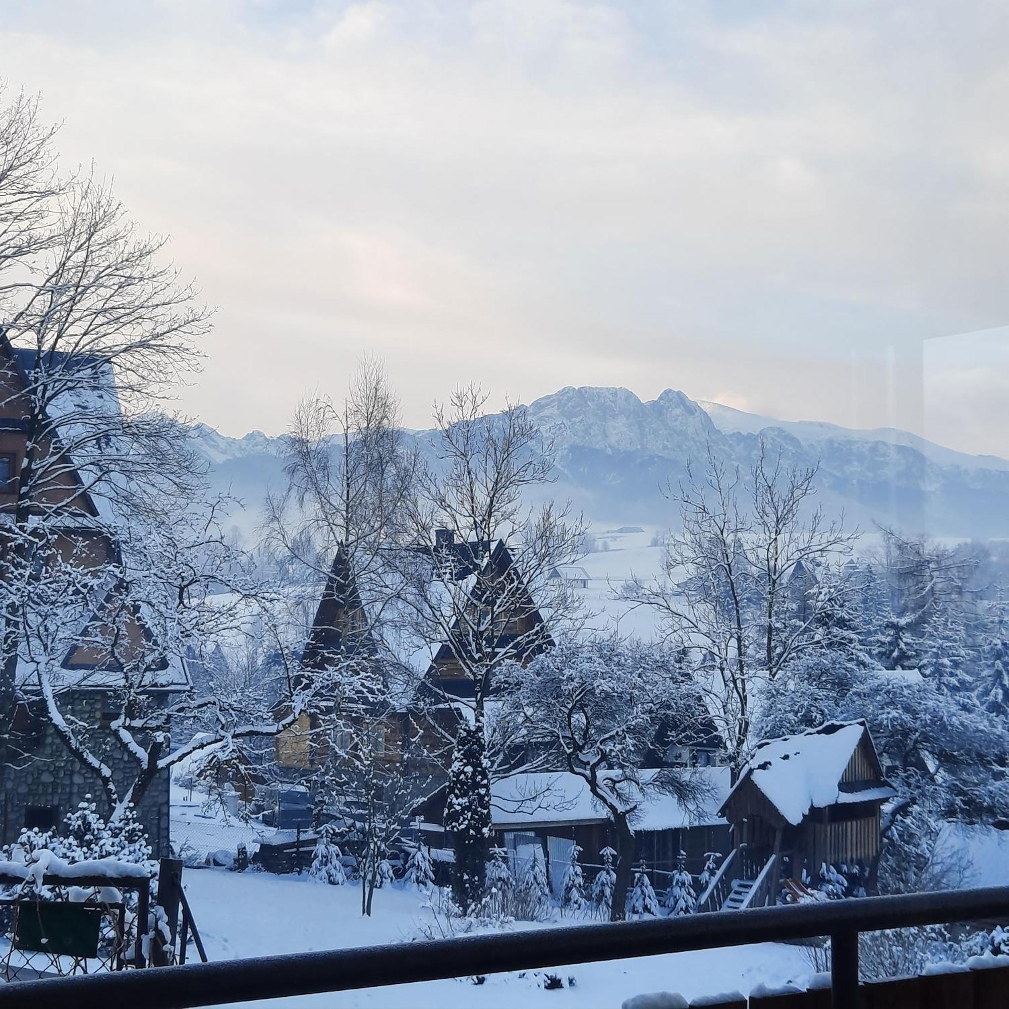 Willa U Bzyka Zakopane Dış mekan fotoğraf